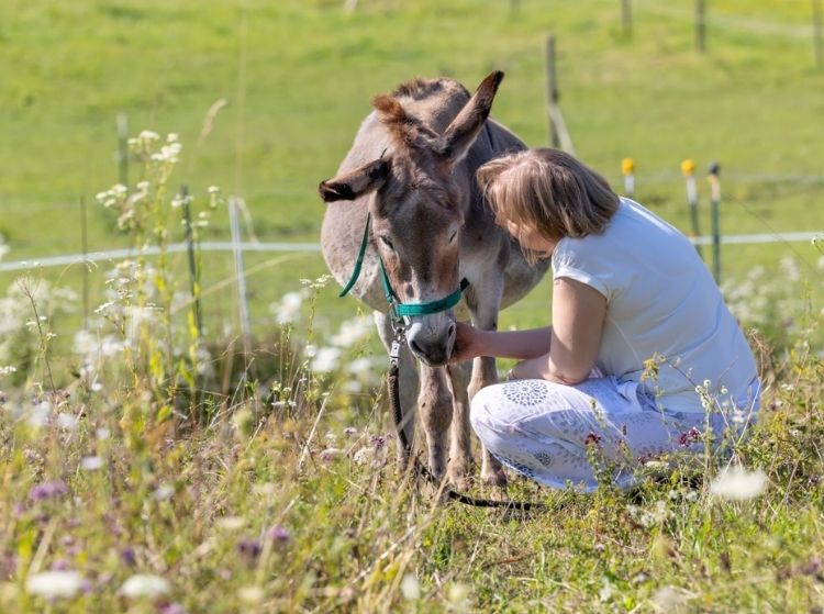 Tierkommunikation Kristina Meyr