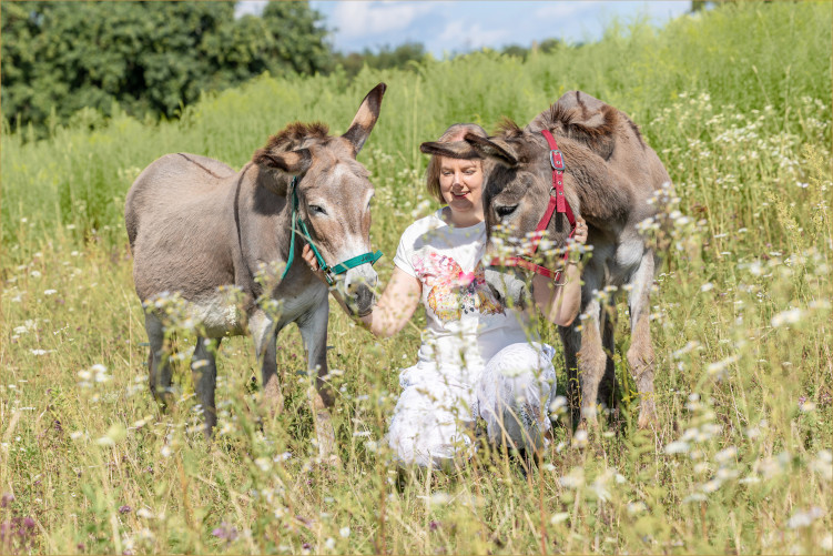 wise-souls-of-animals-tierkommunikation-esel