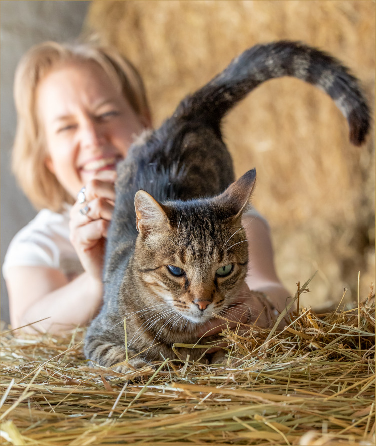 wise-souls-of-animals-tierkommunikation-intensivbegleitung